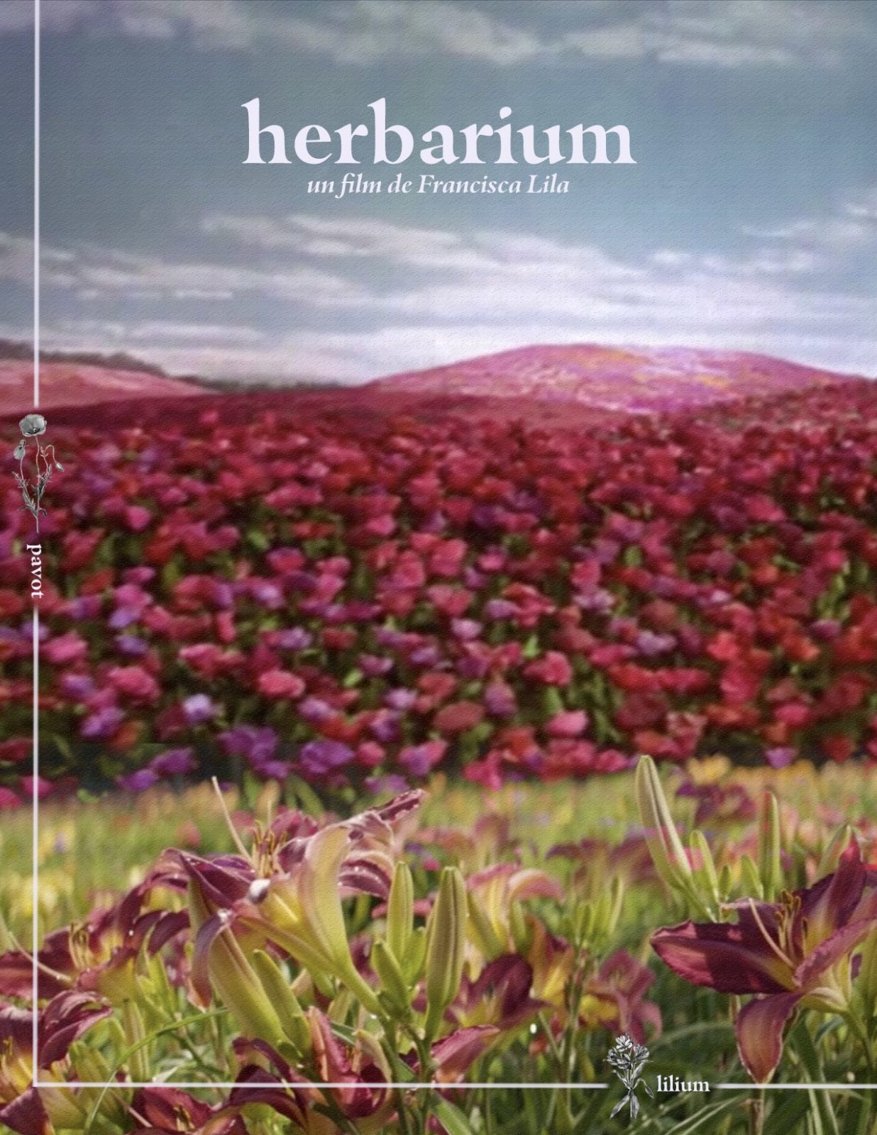 Herbarium