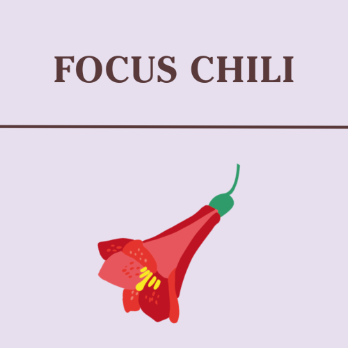 Focus Chili